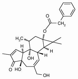 12-Deoxyphorbol 13-Phenylacetate, >99%