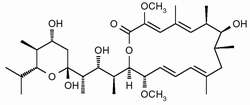 Bafilomycin A1, >95%, 1mg-10mg