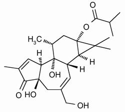 12-Deoxyphorbol 13-Isobutyrate, >99%, 1mg or 5 mg