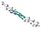 Angiotensin Converting Enzyme Inhibitors (ACE Inhibitors), >95%, 5 mg