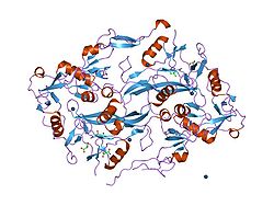 Recombinant Human Follistatin, 20ug