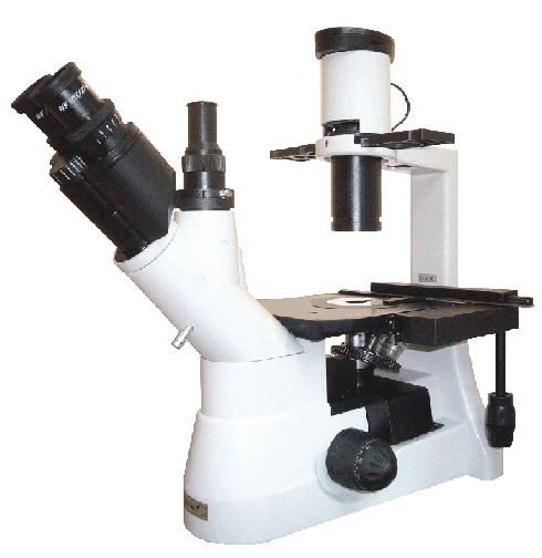 PB-403I Inverted Biological Microscope.png