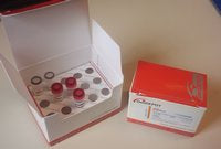 kit2.jpg