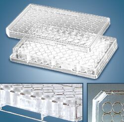 Plate Microtest >Microtest Plate - BIOTANG Inc. – Biotang USA