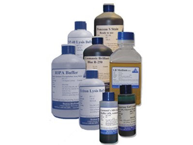 Transfer Buffer 10X Tris-Glycine Native Buffer (Transfer buffer), 2X500ml - BIOTANG Inc ...